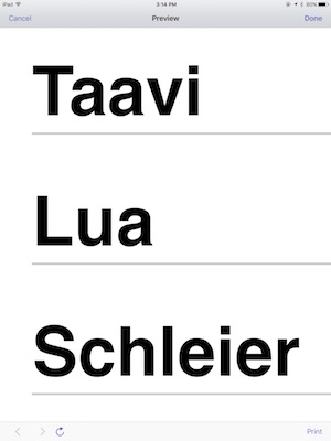 Taavi Lua Schleier with big letters